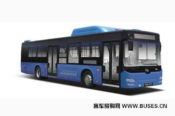 黃海DD6129CHEV5N公交車（天然氣/電混動(dòng)國(guó)五24-37座）