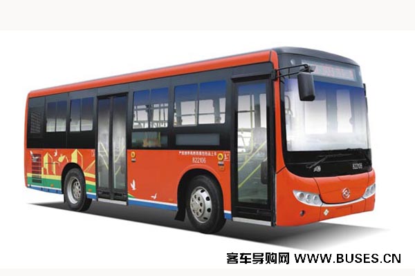 黃海DD6851B01N公交車（天然氣國五16-30座）