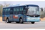 中通LCK6108EVG公交車（純電動10-55座）