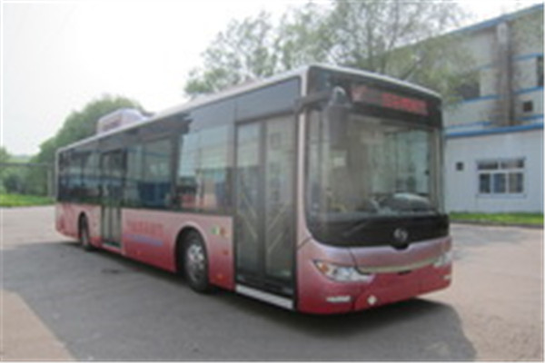 黃海DD6129CHEV6N公交車（LNG/電混動國五18-42座）