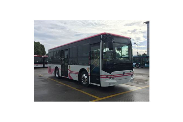 申龍SLK6859ULE0BEVY公交車(chē)（純電動(dòng)10-29座）