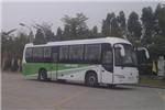 金龍XMQ6110AGN5公交車（天然氣國五20-48座）