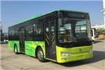 金旅XML6105JEVD0C1公交車（純電動20-40座）