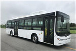 黃海DD6129EV20公交車(chē)（純電動(dòng)24-46座）