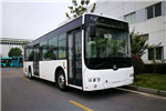 中車電動TEG6106BEV20公交車（純電動17-36座）