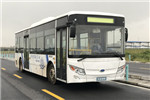 南京金龍NJL6100EV12公交車(chē)（純電動(dòng)19-37座）