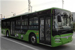 蜀都CDK6126CBEV1公交車（純電動(dòng)22-45座）