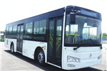 金旅XML6105JEVY0C5公交車（純電動20-40座）