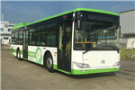 金龍XMQ6127AGCHEVD56公交車（柴油/電混動國五21-46座）