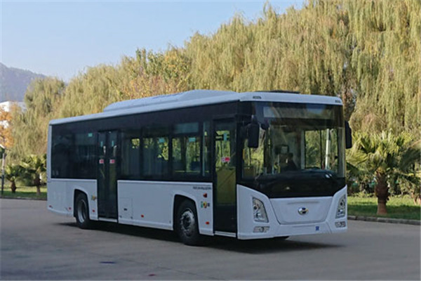 五龍F(tuán)DE6101PBABEV01低入口公交車（純電動(dòng)17-36座）