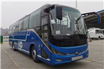 宇通ZK6117BEVT32客車（純電動24-52座）