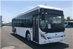 中車電動TEG6112BEV01低地板公交車（純電動20-36座）